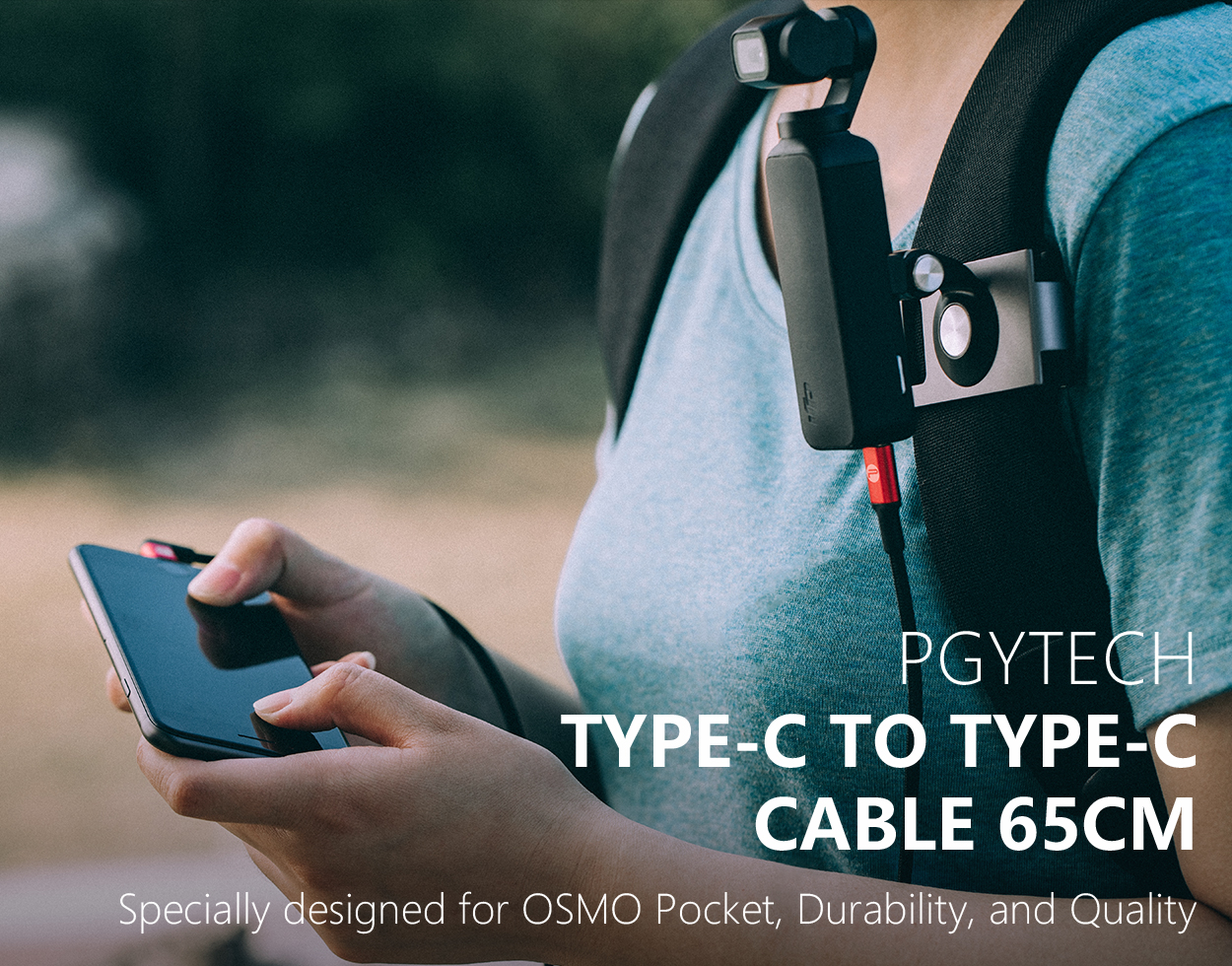1pgy-type-c.jpg