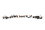圖片 8