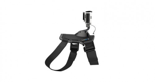 Fetch (Dog Harness)